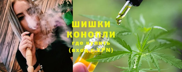 сатива Осинники