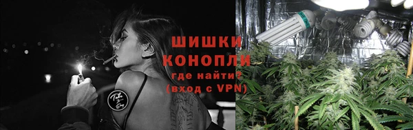 сатива Осинники