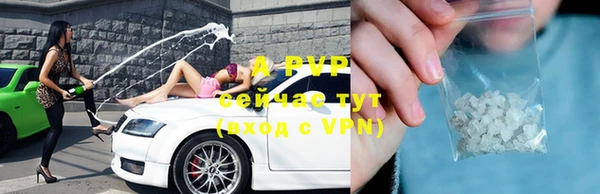сатива Осинники