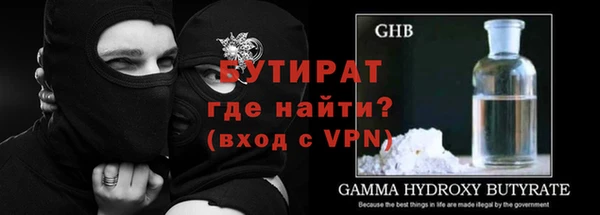 сатива Осинники