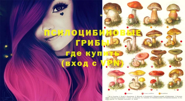 трава Гусиноозёрск