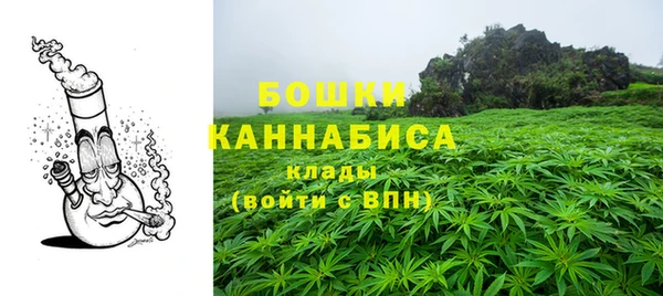 твердый Гусь-Хрустальный