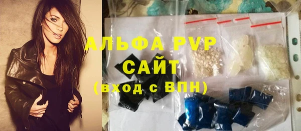 сатива Осинники