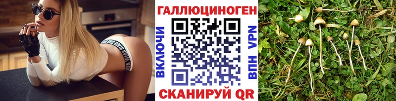 Псилоцибиновые грибы MAGIC MUSHROOMS Красный Холм